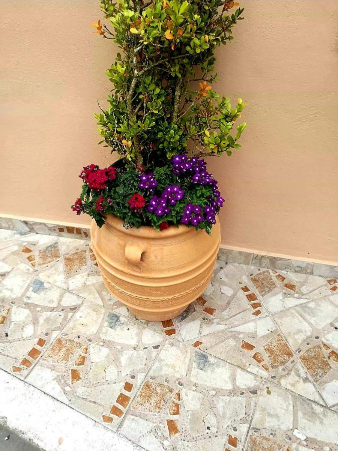 Joy New Port Studio Corfu Town Kültér fotó